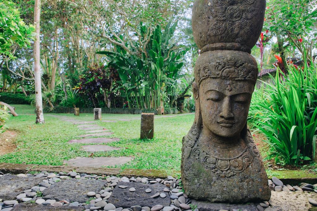 Villa Atas Awan Payangan Exterior foto